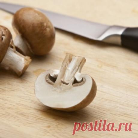 Пищевая пленка - 13 хитрых способов применения чудо-материала - МирТесен