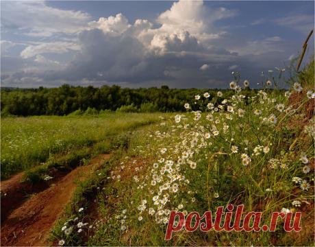 Перед грозой