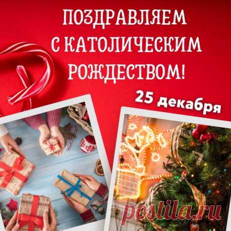 С Католическим Рождеством!
Счастья вам и вашим близким
И здоровья всей семье,
Вера пусть вам освещает
Путь всегда в житейской тьме.