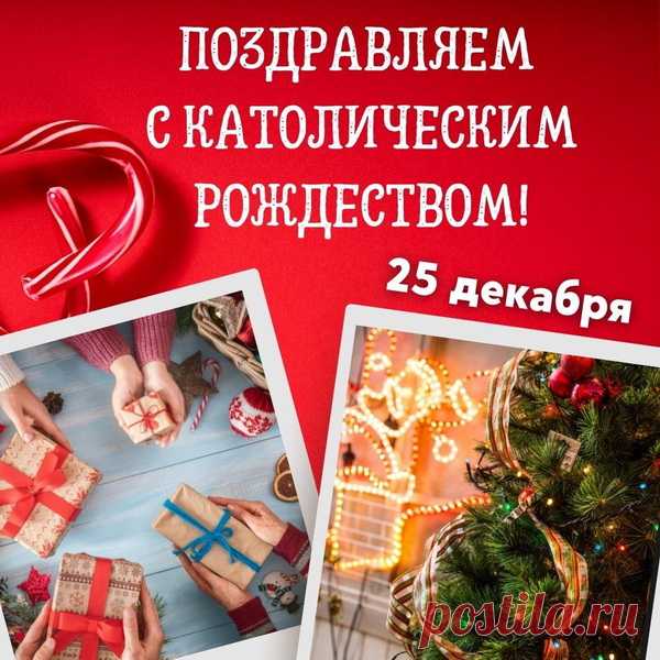 С Католическим Рождеством!
Счастья вам и вашим близким
И здоровья всей семье,
Вера пусть вам освещает
Путь всегда в житейской тьме.