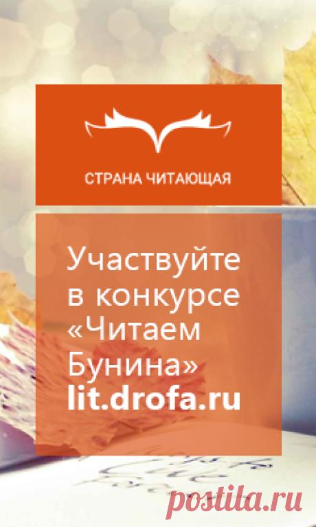Классный час на тему: "Правила дорожного движения"