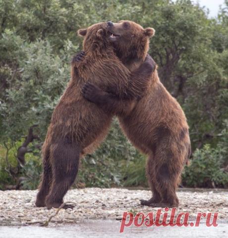 Мой Мир@Mail.Ru