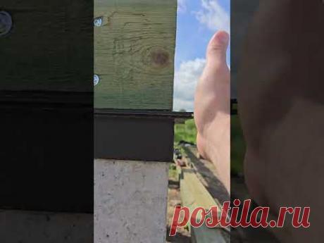 Оголовки. Делаем по-другому. Используем разные оголовки #shortsvideo