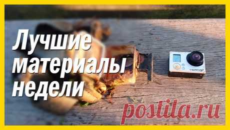 Наше регулярная подборка лучших материалов. 1. Самостоятельные съемки утонувшей камеры: 2. В Испании впервые за 30 лет бык убил матадора: 3. Карта регионов России в соответствии с численностью населения: 4. Лев освобождает львицу от дротика с транквилизатором: 5. Фото. Почему кормить обезьян надо осторожно:
