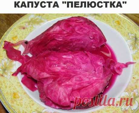 Google+