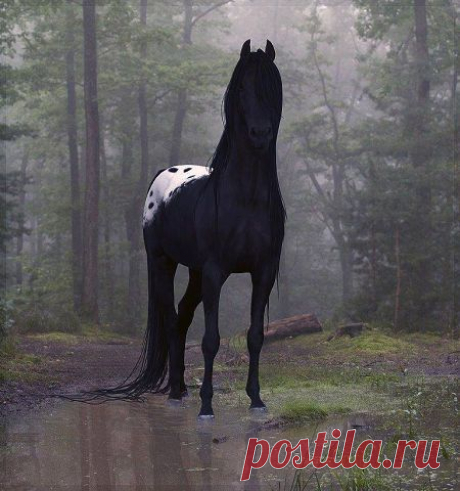 (2) Одноклассники