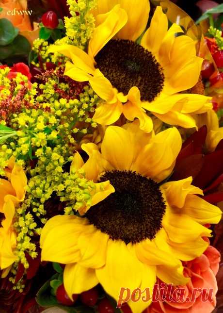 Flower Love