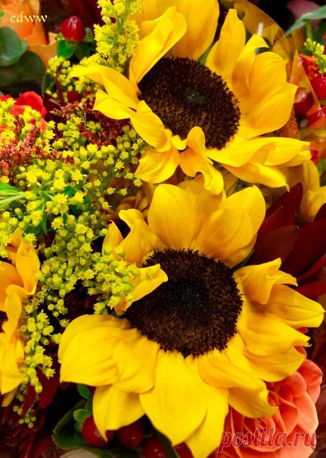Flower Love