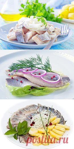 Простая еда: три элементарных блюда из селедки - Продукты и напитки - Кухня - Аргументы и Факты