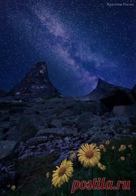 Красноярский край, природный парк Ергаки, небольшая цветочная полянка под скалой Парабола