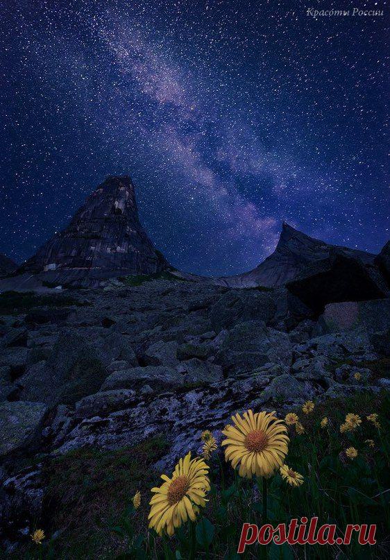 Красноярский край, природный парк Ергаки, небольшая цветочная полянка под скалой Парабола