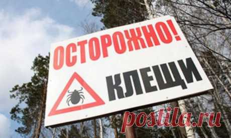 На Ставрополье пятеро человек заболели крымской геморрагической лихорадкой