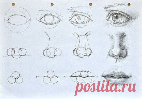 Рисуем лицо.