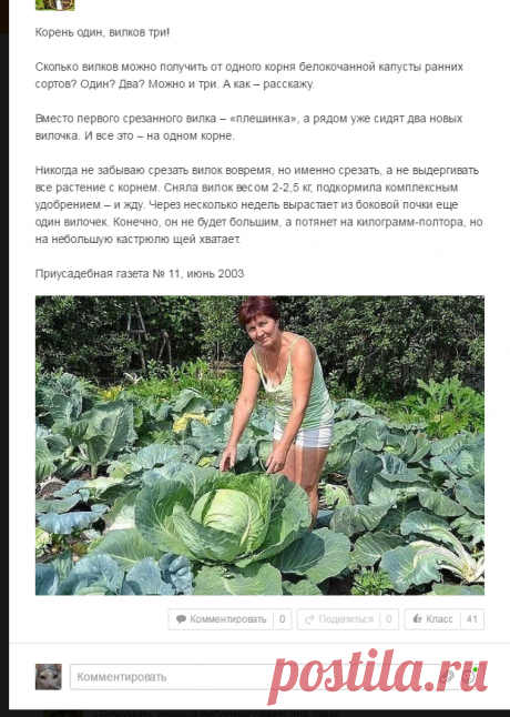 (1) Одноклассники