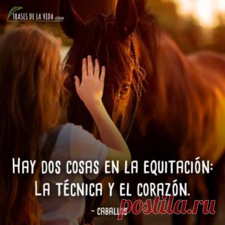 80 Frases de caballos | Poderosas y bellas como ellos [Con Imágenes]