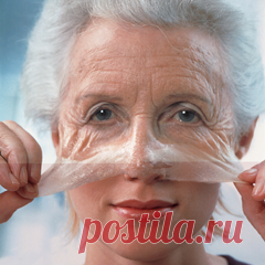 Блог Галины Пилипчук