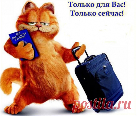Сэкономь перед подорожанием на скидках и распродажах от 30% до 50%.
