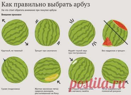 8 признаков хорошего арбуза: советы, которые не раз пригодятся тебе этим летом.
