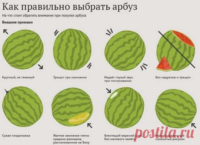 Как правильно выбрать арбуз