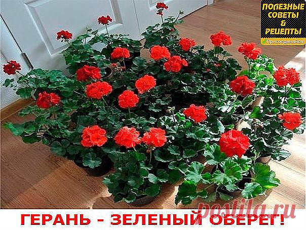 (71) Одноклассники