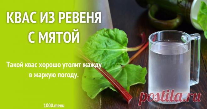 Квас из ревеня с мятой рецепт с фото пошагово и видео Такой квас хорошо утолит жажду в жаркую погоду.