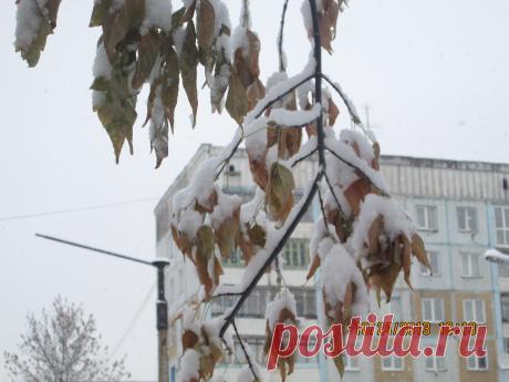 А у нас во дворе....