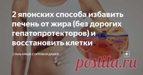 2 японских способа избавить печень от жира (без дорогих гепатопротекторов) и восстановить клетки Статья автора «Стань краше с Орловой Дашей» в Дзене ✍: Более трети россиян имеют диагностированный жировой гепатоз печени, пьют гепатопротекторы и сидят на диетах.