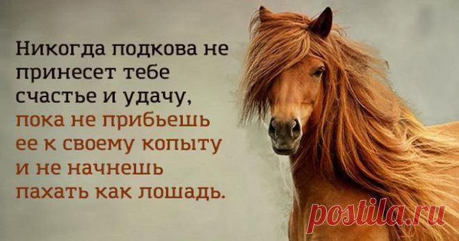 16 задорных открыток, чтобы развеять грусть и хандру — Болтай