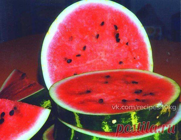 А Вы любите арбузик?🍉 / Всё за еду!