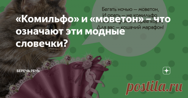 «Комильфо» и «моветон» – что означают эти модные словечки? Вы точно знаете их значение?