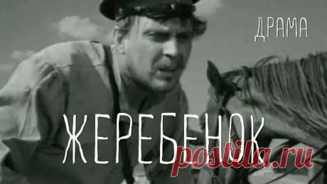 Жеребенок (1959) Фильм Владимира Фетина В ролях Евгений Матвеев Военный ★ ПОДПИСЫВАЙТЕСЬ на канал и смотрите более 1000 фильмов: https://www.youtube.com/channel/UC7-_uJKpRJXmsxD2B0idDqgВ одном из эскадронов Красной Армии у лошади...