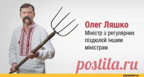 Ляшко написал открытое письмо Кадырову | Новости, события, факты  
Всё, на что он способен умственно...