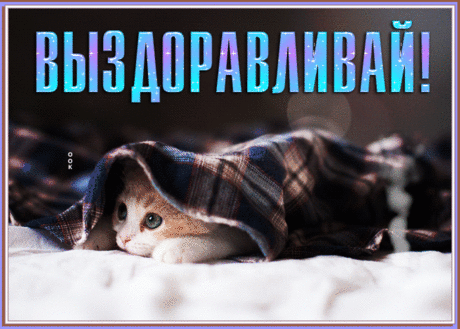 Особенная открытка  с чаем и котиком