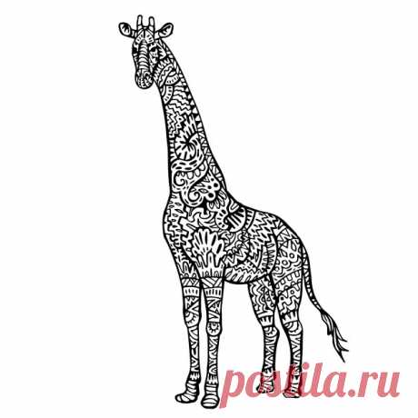 Декоративные рисованной жирафа Более миллиона свободных векторов, PSD, фотографии и бесплатные иконки. Эксклюзивные халявы и все графические ресурсы, которые необходимые для ваших проектов