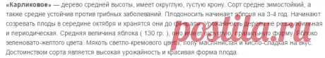 Сорта яблонь с фото