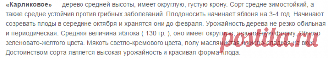 Сорта яблонь с фото