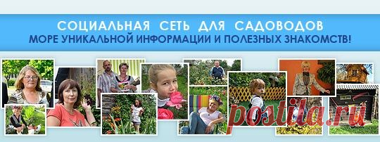 Знать врага в лицо!