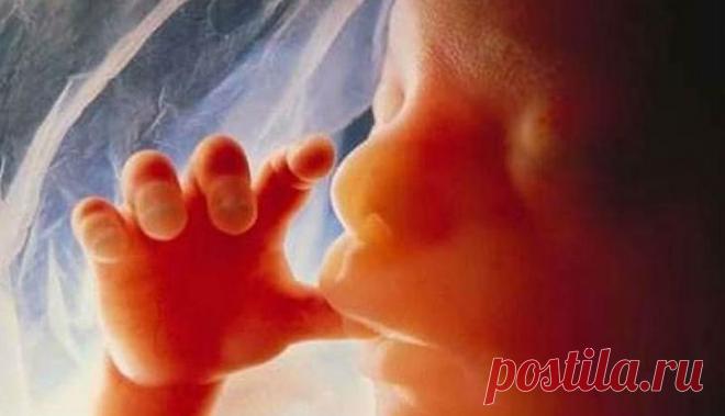 Уникальные фотографии: жизнь девочки до рождения Как зарождается и развивается жизнь в утробе матери? Благодаря этой подборке уникальных фото можно пронаблюдать за чудом развития человеческого существа от самого зачатия и до родов.
Многие спорят о т...