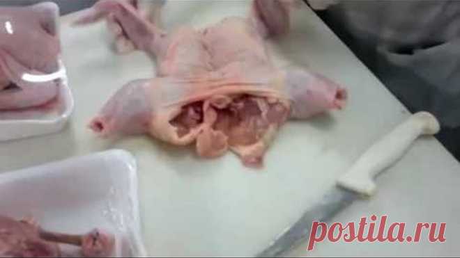 Хозяюшкам на вооружение куриное филе благодарности не надо,учитесь!!!