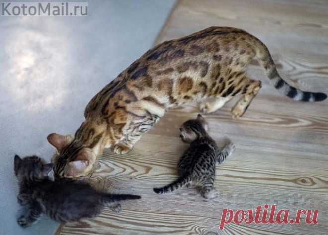 Малыши растут не по дням...