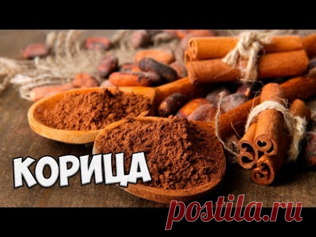 КОРИЦА 🌟 Полезные свойства корицы 🌟 Как отличить настоящую корицу эксперимент