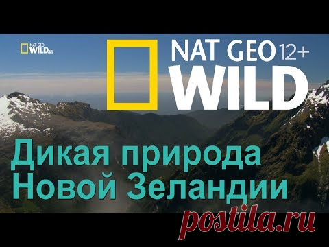 Дикая природа Новой Зеландии: затерянный рай - YouTube