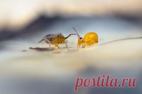 35PHOTO - Валерия Зверева - Гляциологи