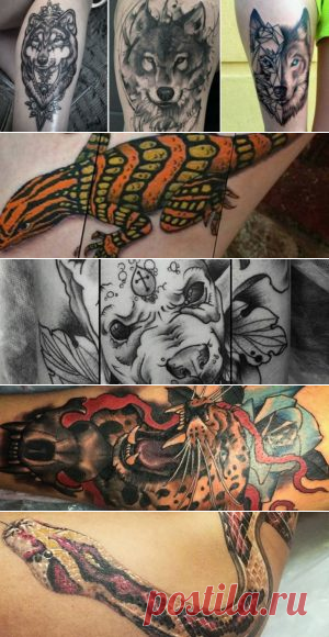 Тату мужские животные. Все значения тату животных для мужчин