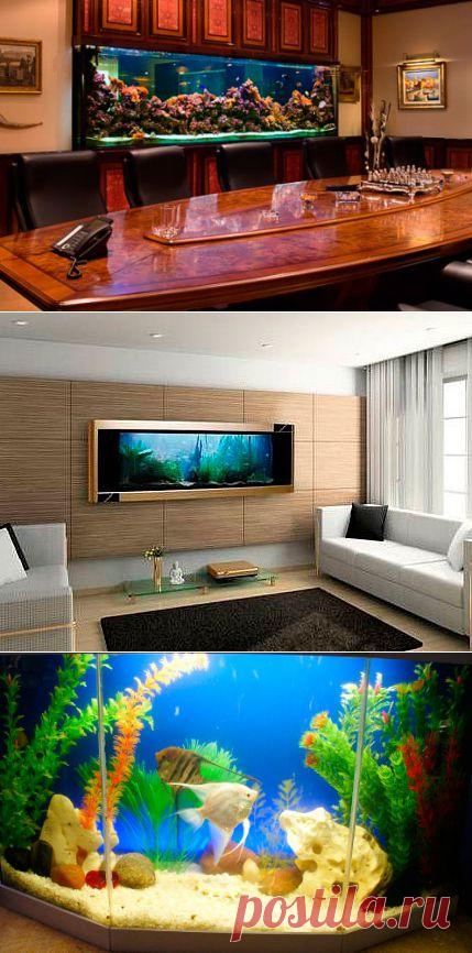 Аквариумы в интерьере квартиры