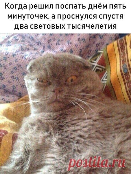 Попробуй не засмеяться | А ты шутник | Яндекс Дзен