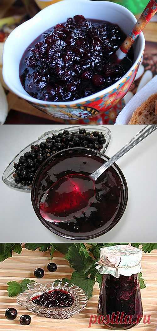 Черная смородина: варим самое вкусное варенье / Простые рецепты