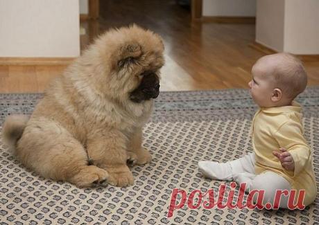 Больше, чем фото