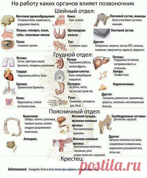 СТОЛБ ЖИЗНИ