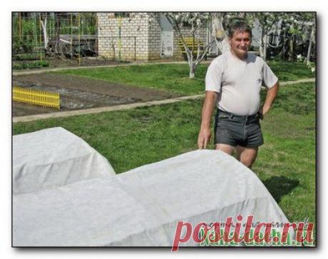 Своими руками дача, строительство  дачи, садоводство, ландшафтный дизайн